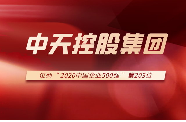 豪运国际集团列2020中国企业500强第203位！